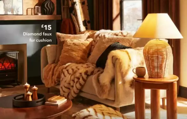 Dunelm catalogue (valid until 29-12)