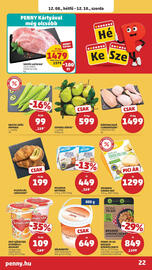 PENNY akciós újság hét 49 Oldal 22