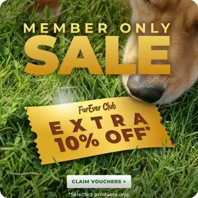 Budget Pet Products catalogue (valid until 25-12)