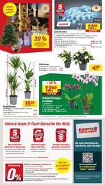 Toom Baumarkt Prospekt Seite 2