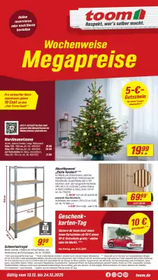 Toom Baumarkt Prospekt (gültig bis 24-12)