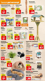 Thomas Philipps Prospekt woche 51 Seite 11