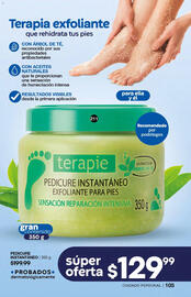 Catálogo Fuller Página 106