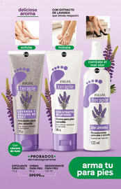 Catálogo Fuller Página 107