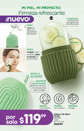 Catálogo Fuller Página 109