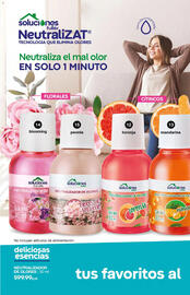 Catálogo Fuller Página 11