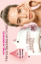 Catálogo Fuller Página 111