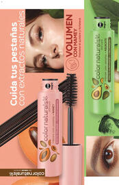 Catálogo Fuller Página 119