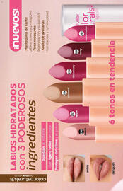 Catálogo Fuller Página 123