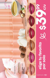 Catálogo Fuller Página 124