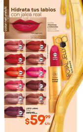 Catálogo Fuller Página 125