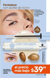 Catálogo Fuller Página 126