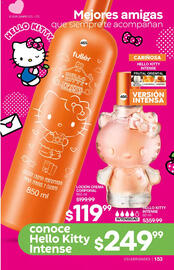 Catálogo Fuller Página 154