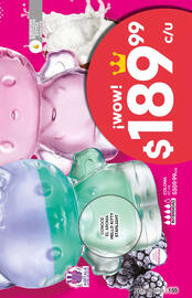 Catálogo Fuller Página 156