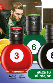 Catálogo Fuller Página 161