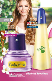 Catálogo Fuller Página 163