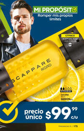 Catálogo Fuller Página 176