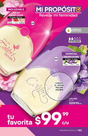 Catálogo Fuller Página 184