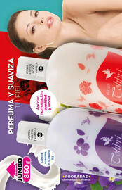 Catálogo Fuller Página 185