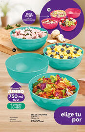 Catálogo Fuller Página 29