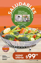 Catálogo Fuller Página 44