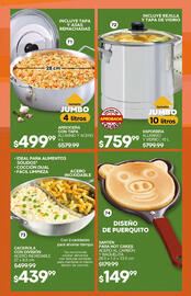 Catálogo Fuller Página 45