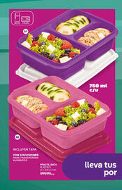 Catálogo Fuller Página 49