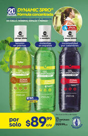 Catálogo Fuller Página 97