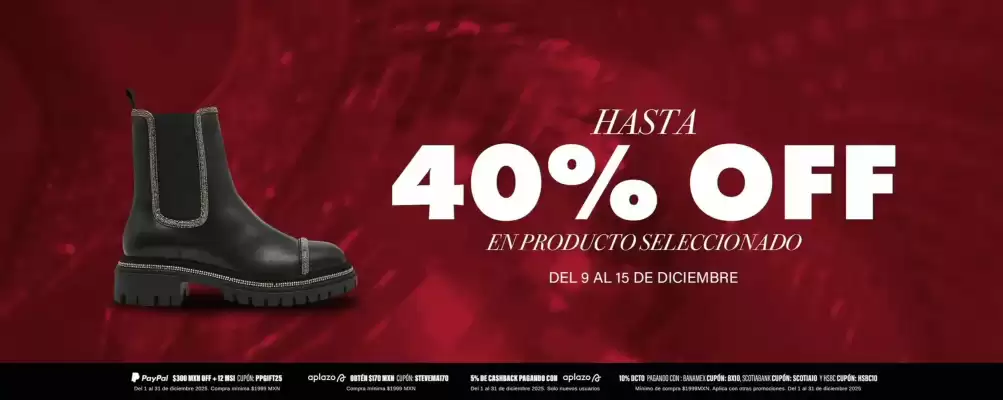 Catálogo Steve Madden (válido hasta 15-12)