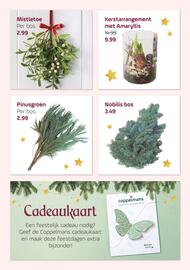 Coppelmans folder Pagina 5