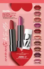 Folleto Gigot Página 27