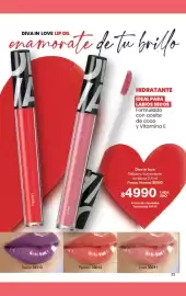 Folleto Gigot Página 29