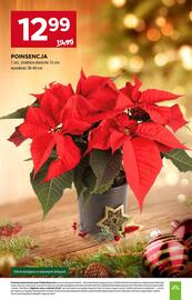 Stokrotka gazetka tydzień 50 Strona 8