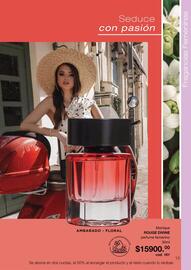 Catálogo Monique Página 13