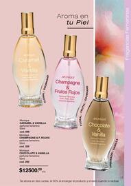 Catálogo Monique Página 17