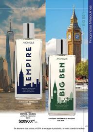 Catálogo Monique Página 43