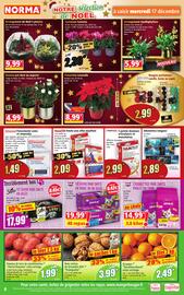Catalogue Norma page 8