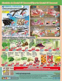 Marche C&T flyer Page 2