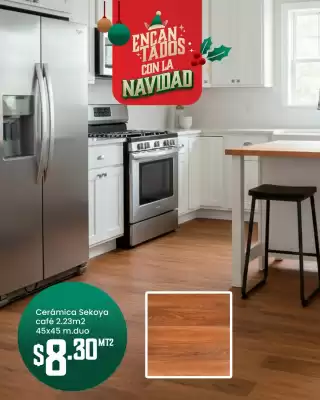 Catálogo Ferrisariato (válido hasta 25-12)