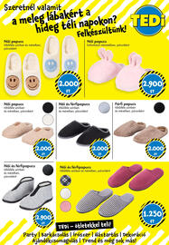 Tedi katalógus Oldal 22