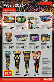 Hellweg Prospekt woche 50 Seite 7