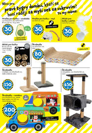 TEDi leták Strana 19