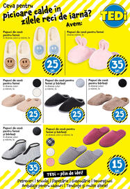 Catalog TEDI Pagină 21