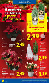 Volantino Lidl settimana 51 Pagina 30