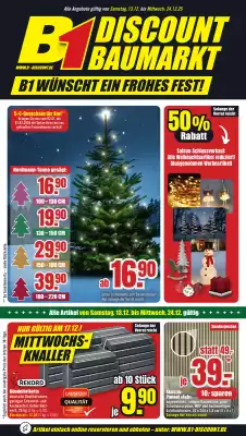 B1 Discount Baumarkt Prospekt (gültig bis 24-12)