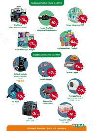 Volantino Lillo e i Vagabondi Pagina 13