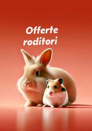 Volantino Lillo e i Vagabondi Pagina 14