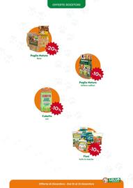 Volantino Lillo e i Vagabondi Pagina 15