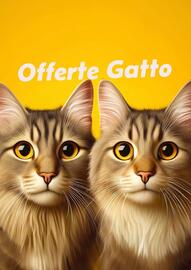 Volantino Lillo e i Vagabondi Pagina 6