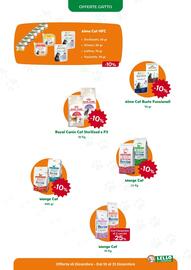 Volantino Lillo e i Vagabondi Pagina 7